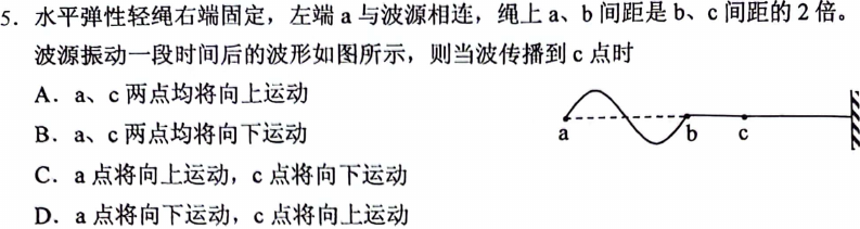 第 5 题